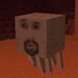 Meet your Posher, Raylen